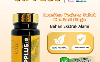 Cara Sederhana Cipplus Detoks Tubuh Tanpa Obat Kimia