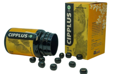 Herbal Alami vs Obat Kimia: Mana yang Lebih Baik?