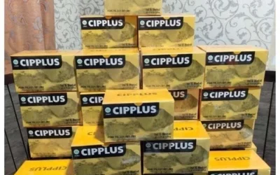 Ramuan Herbal Tradisional yang Terbukti Secara Ilmiah di Cipplus