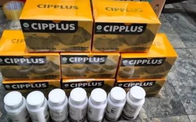 Testimoni Pengguna & Kisah Nyata Pengalaman Sehat dengan CIPPLU