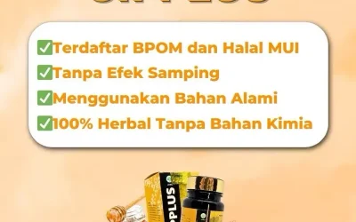 Apa Itu CIPPLUS? Ini Yang Harus Kamu Tau